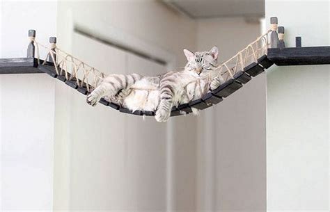 Diy Cat Rope Bridge A Great Way To Make Your Cats Relax Your