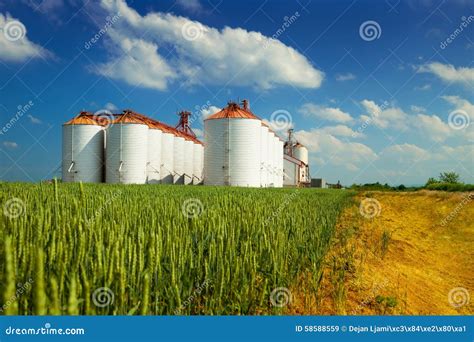Agricultural Silos Metal Grain Facility With Silos Royalty Free Stock