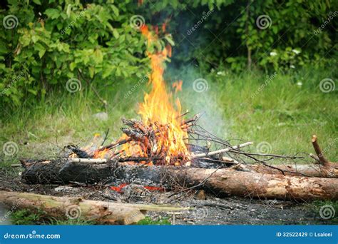 Bonfire Campfire Fire Summer Forest Royalty Free Stock Images Image