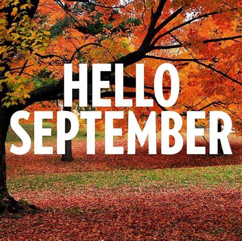 Pin By Tracy Walker On Fall And Thanksgiving Hello September Happy