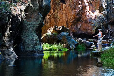 A Hiker Stops To Take In The Beauty Of The East Fork Of The Jemez River