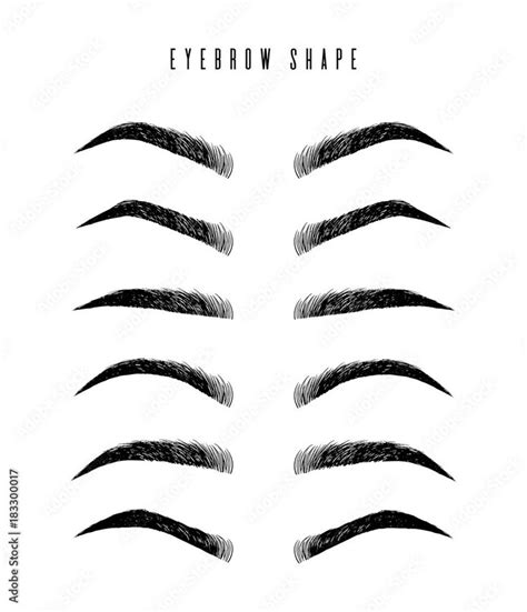 eyebrow shapes various types of eyebrows classic type and other trimming vector illustration