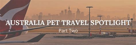 And there's one question pretty much everyone thinking about moving asks: Australia Pet Travel Spotlight: Why Does It Cost so Much ...