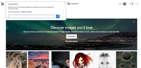 Some of them being searching for similar or better quality images by using the image finder. Bing vs. Google Reverse Image Search