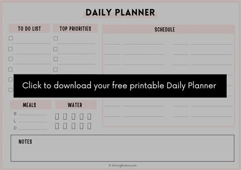 Best Study Timetable For Students At Home Shining Brains