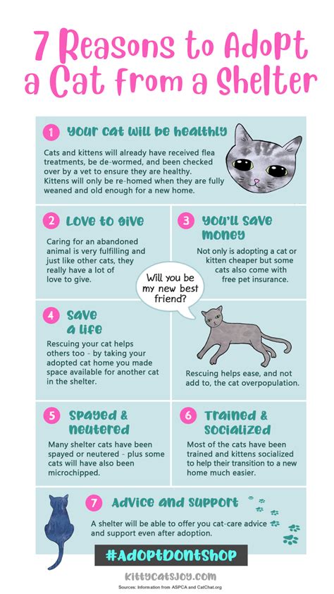 Why Be A Cat Owner This Cat Adoption Infographic Is Designed To Help