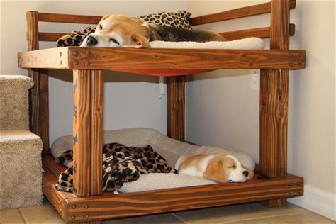 Perfect Setup Dog Bunk Beds Diy Dog Bed Dog Furniture