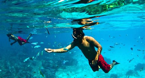 Bali Snorkeling Trip Marine Water Sport Activities
