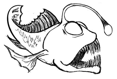 Sketch Of Angler Fish Coloring Pages Best Place To Color Fish