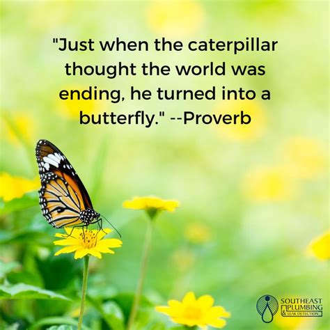 Just When The Caterpillar Thought The World Was Ending He Turned Into A Butterfly Proverb