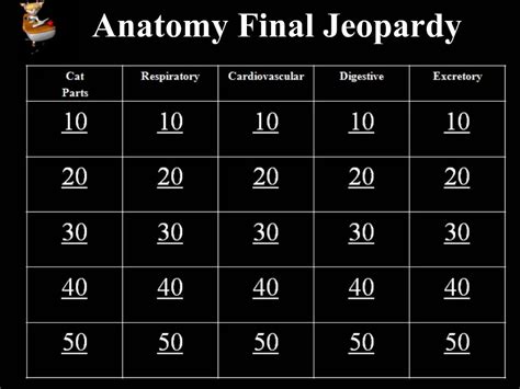 Ppt Anatomy Final Jeopardy Powerpoint Presentation Free Download
