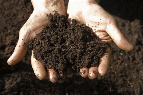 Check Your Garden For A Good Loamy Soil Says Alan Titchmarsh Alan