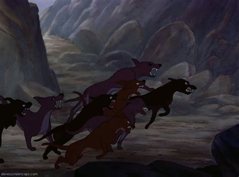 He is the mate of faline, the father of geno, gurri, and ferto, the son of the great prince of the forest and an unnamed mother, and friend of thumper, flower, friend owl, gobo, and others. The Hunter's Dogs | Disney Versus Non-Disney Villains Wiki ...