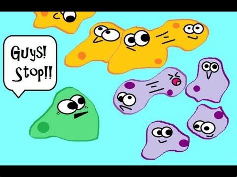 Plant cell vs animal cell amoeba sisters. 22 best images about Project 8- Cell Cycle on Pinterest ...