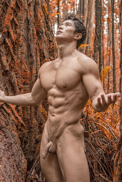Men I Ve Never Met Lots Of Other Things THE BEAUTY OF THE NUDE MALE