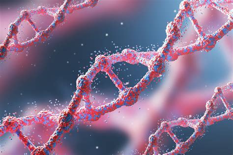 Qu Son Los Genomas Para Qu Sirven Y Por Qu Queremos Conocerlos