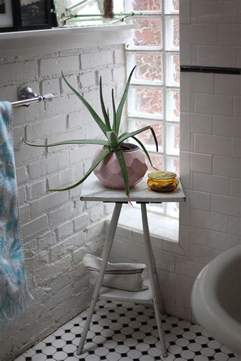 Notre conseil est de bien choisir les accessoires qu'il vous faut et de miser sur le coup de cœur. 5 plantes faciles d'entretien pour décorer son appart' | Ton Barbier