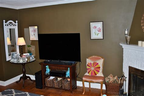 Olive Green And Brown Living Room Modern House