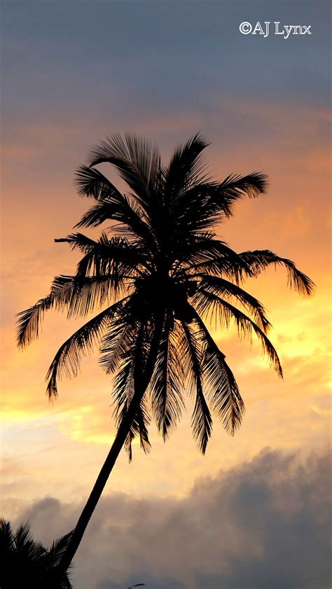 P1310872 Sunset Unawatuna Beach Sri Lanka Unawatuna Is Flickr