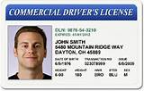 Truck Driver License Florida Images