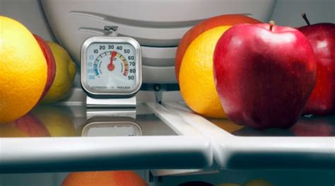 Now, if the freezer is below zero and the controls are at the warmest setting, the thermostat # 2198202 will need to be replaced. How to Prevent Your Refrigerator From Accidentally ...