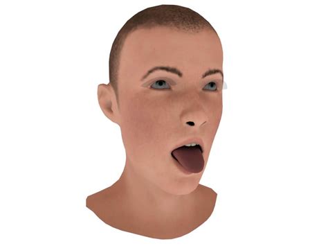 Open Mouth Head 3d Model By Ghulam Rasool