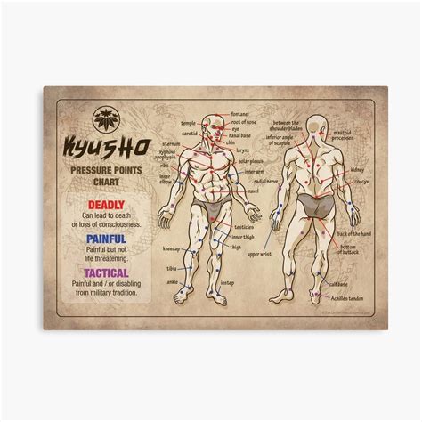 Kyusho Human Body Pressure Points Poster Body Pressure Points