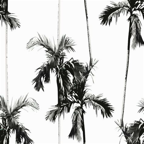 Download Black And White Palm Tree Wallpaper