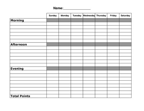 Daily Chore Schedule