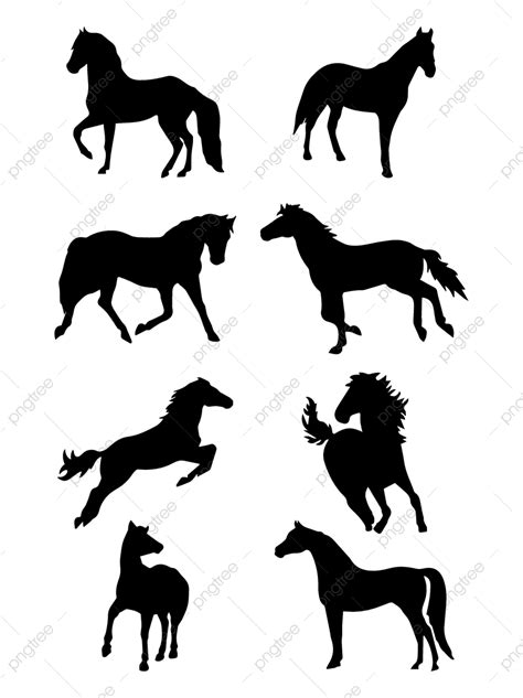 Horse Animal Silhouette Png Transparent Vector Cartoon Silhouette