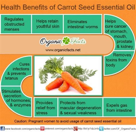 There are many uses for carrot seed oil, and it's up to you to find the best use for yourself! Carrot Seed oil- health benefits | Young Living Oils ...