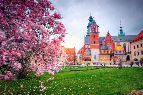 Springtime In Poland Travelmole