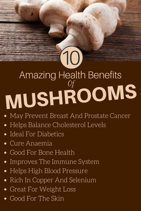 9 Unique Health Benefits Of Mushroom You Must To Know My Health Only