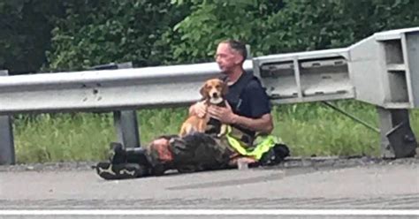Garena free fire is a creation by the singaporean company garena, which was founded in 2009 by forrest lin, and since then it has developed pc and mobile games, focusing mainly on the southeast asian market. Dog Refuses To Leave Owner's Side After Horrible Crash ...