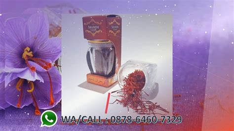 Batu bata merupakan material yang dapat digunakan untuk. WA/CALL : 0878-6460-7329, Jual Saffron Pontianak, Harga ...