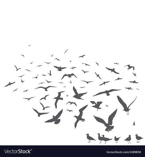 Seagulls Royalty Free Vector Image - VectorStock