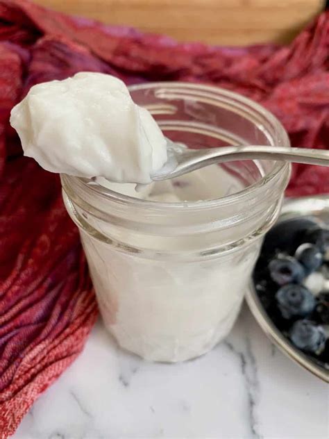 How To Make Coconut Yogurt Creamy Coconut Yoghurt Paleo Aip Vegan