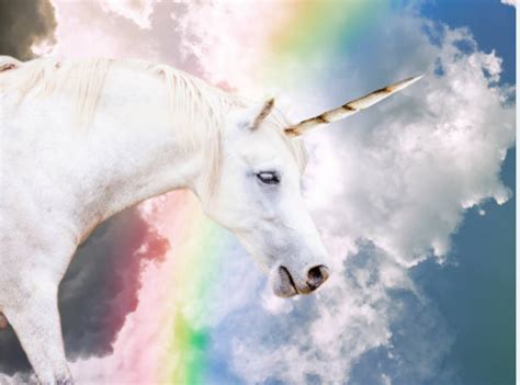 40 Interesting Unicorn Facts Serious Facts