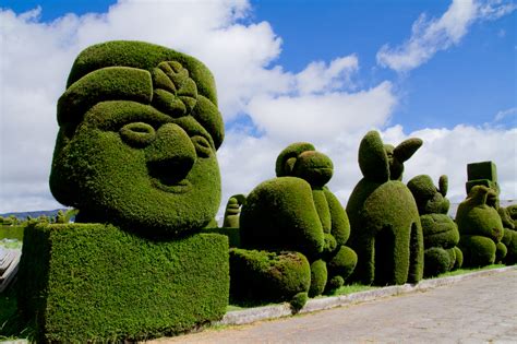 Check spelling or type a new query. 53 Stunning Topiary Trees, Gardens, Plants and Other Shapes