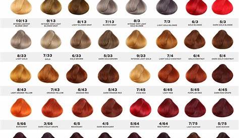 Professional Hair Color Chart