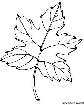 Pin by Nguyet nt on Feuilles | Leaf coloring page, Coloring pages