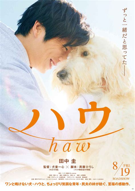 Teaser Trailer Poster For Movie Haw AsianWiki Blog