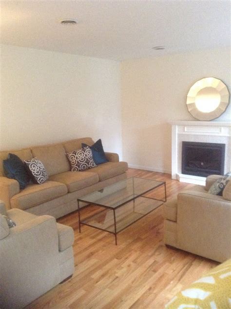 How to make your first apartment look elevated and cozy. Help me decorate my living room