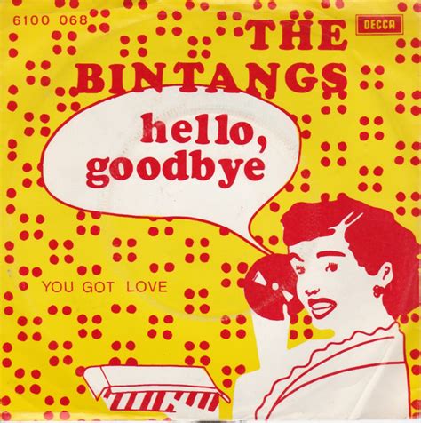The Bintangs Hello Goodbye Releases Discogs