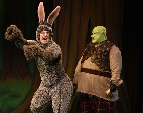 Review Shrek The Musical At Theatre Royal Bath The Bath