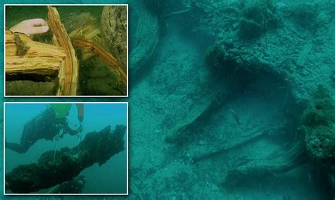 60000 Year Old Forest Found 60ft Underwater Off Alabama Daily Mail