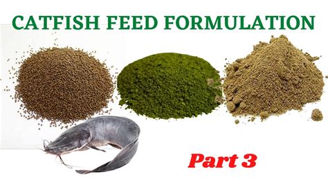 Catfish Feed Formulation Help Your Fishes Grow Fast Youtube