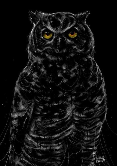 An Owl With Yellow Eyes Sitting In The Dark