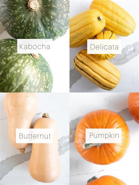 Types Of Winter Squash A Guide To Winter Squash Varieties And Cooking