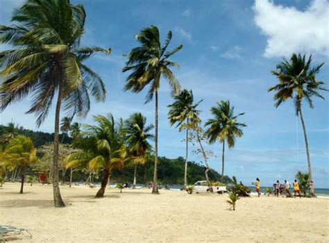 Maracas Dagstur Till Maracas Beach Från Port Of Spain Getyourguide